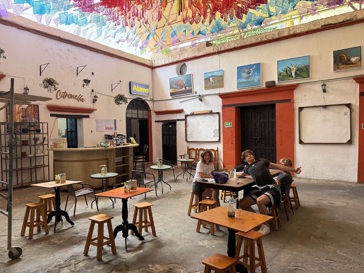 Citronella Barra Natural